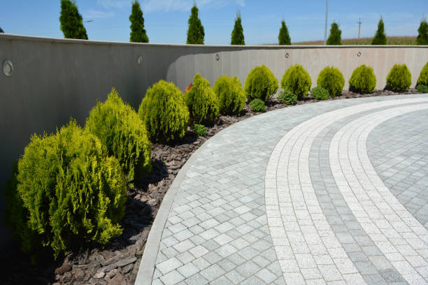 Best Best Driveway Pavers  in Morton, WA